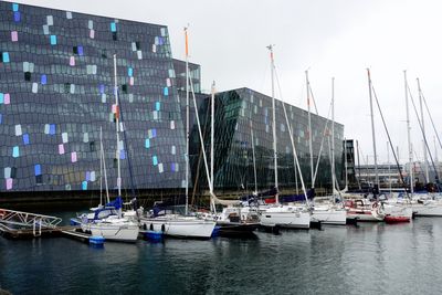 Harpa back