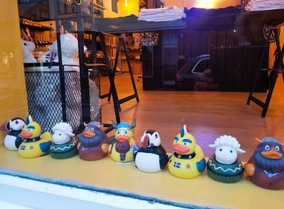 Ducks for sale for the cruisers at a local store in center city.