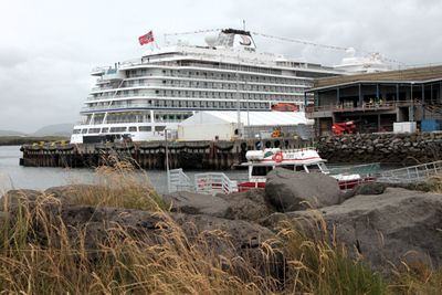 Viking Mars & Gestur 