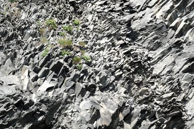 Reynisfjara lava is endless