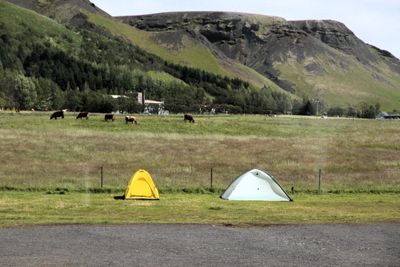 Iceland Southern Coast 