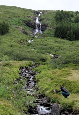 At Skutulsfjordur waterfall we got to drink water out of a stream