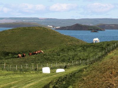 At the pseudocraters, a white horse in the distance caught Nancy's eye