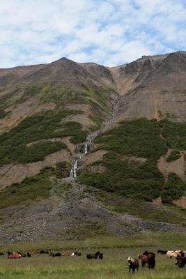 We passed a field with horses, with a waterfall in the back.  Stop the car! 