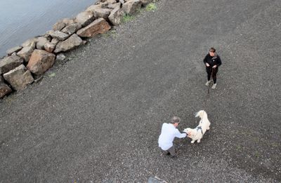 While Nancy & I were up top, a dog and owner strolled by.  Hap said hello. 