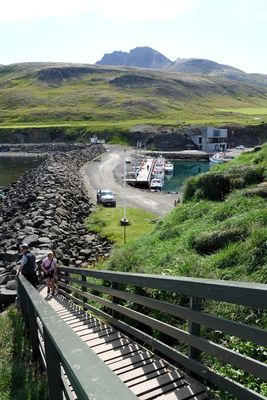I took a tour to see puffins at the Hafnarholmi marina, where the town had built boardwalks.