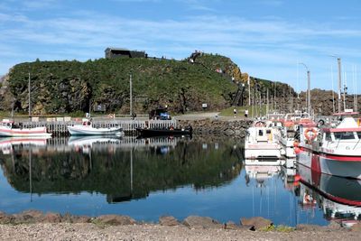 Hafnarholmi marina & boardwalk from Hafnarhus cafe 