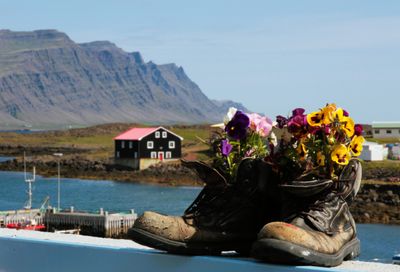 Ceramic hiking boots added a bit of charm to the harbor