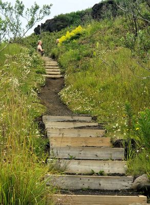 Eldfell steps I took down to town (not ones closest to marina, but I easily found my way there).)
