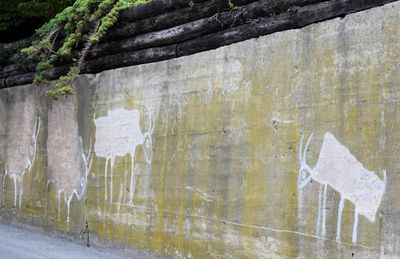 Ceatures on the wall along Middlebrook Street 