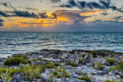 Turks And Caicos