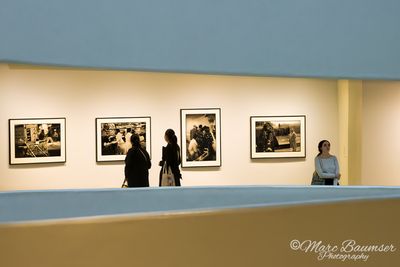 Guggenheim Museum 59738