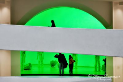 Guggenheim Museum 59742