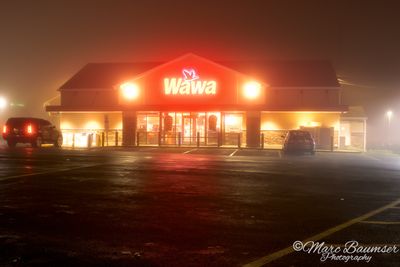 Wawa In Fog 60042