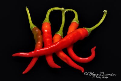 Dragon Cayenne 68337