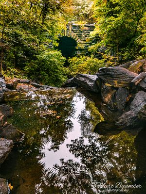 Central Park 1310361