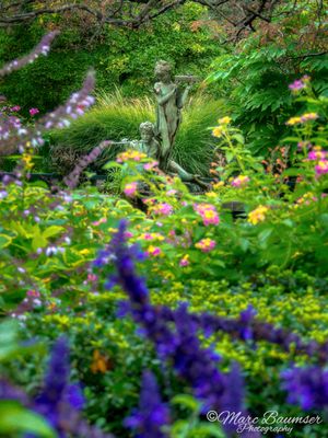 Central Park 1310487