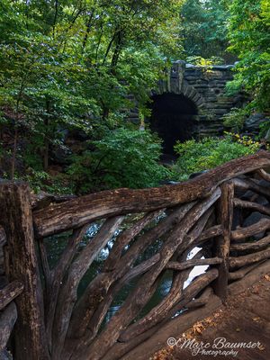 Central Park 1310356