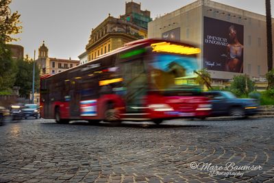 Rome 60730