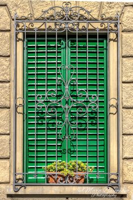 Florence 61390