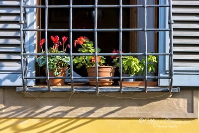 Florence 61878