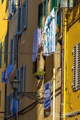 Florence 61883