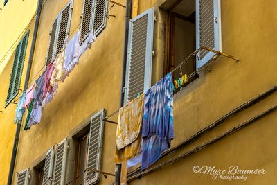 Florence 61886