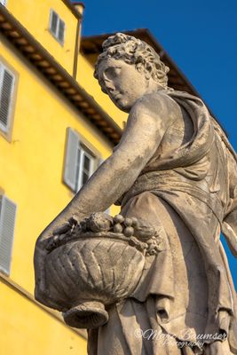 Florence 61916