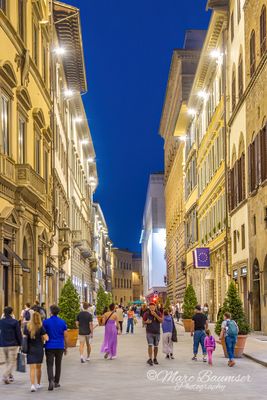 Florence 62441
