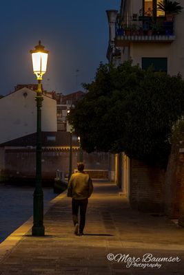 Venice 62793