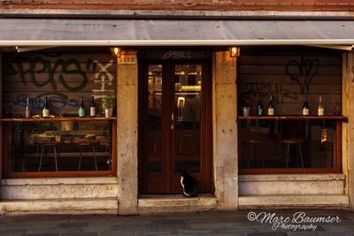Venice 62964