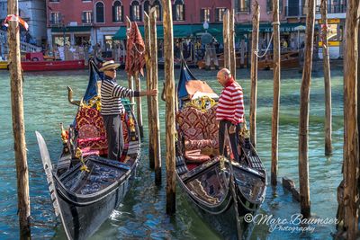 Venice 63048