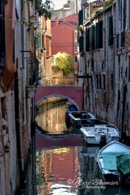 Venice 63066