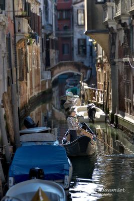 Venice 63109