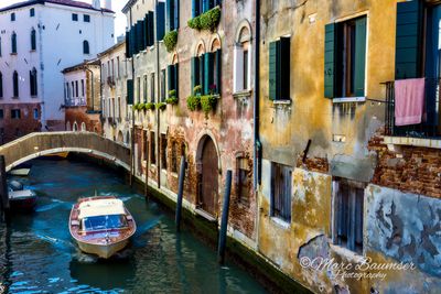 Venice 63133