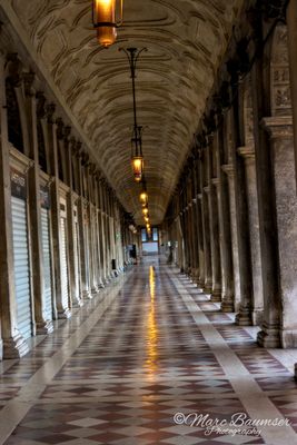 Venice 63451
