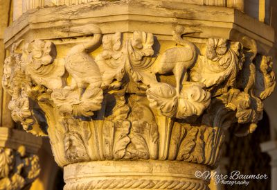 Venice 63499
