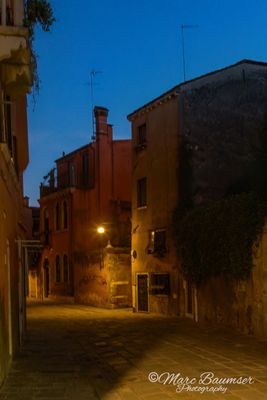 Venice 64003