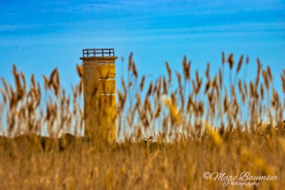 Gordons Pond Observation Tower 67221