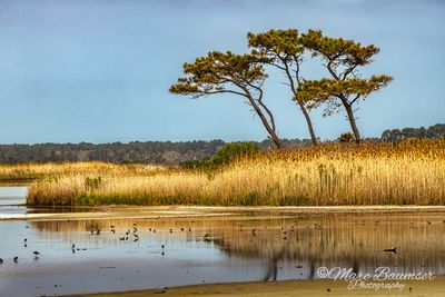 Delaware Beaches