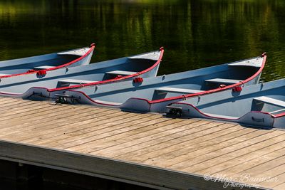 Row Boats Beaver Lake at Mount Royal Park 9745