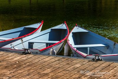 Row Boats, Beaver Lake at Mount Royal Park 9749