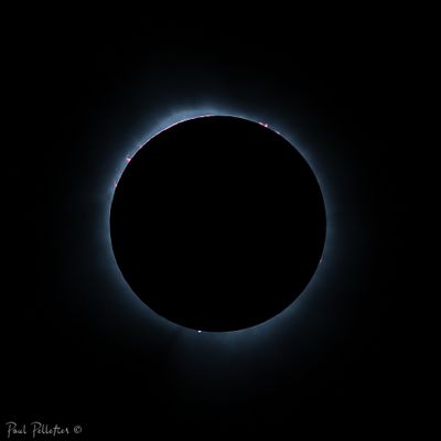 2024-04-08_12-27-59_1V3A1949.jpg
