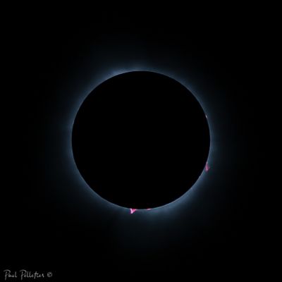 2024-04-08_12-30-33_1V3A2024.jpg