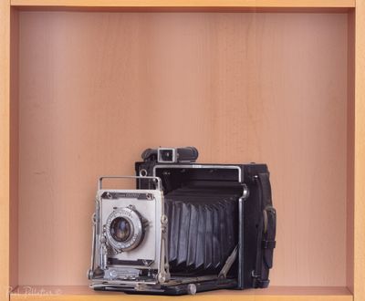Cameras Film 24