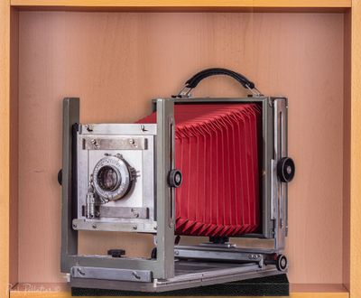 Cameras Film 24