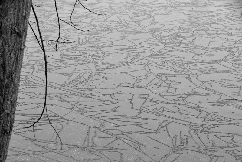 Patterns in the snow on the frozen pond