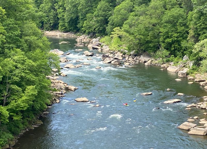 Kayakers on the Youghiogheny River