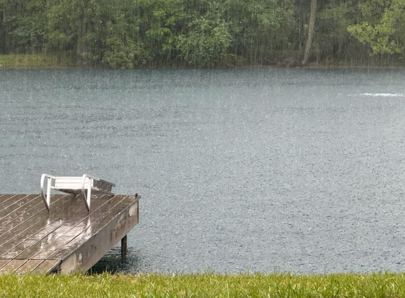 Rainy day at the pond