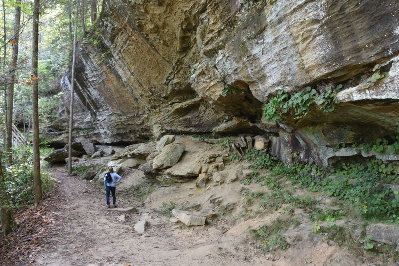 Rock wall along trail at Natural Bridge State Park, Kentucky